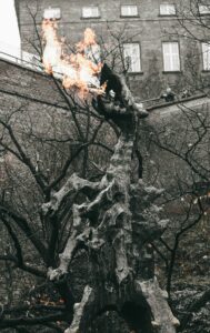 zwiedzanie wawelu, wawel z dzieckiem