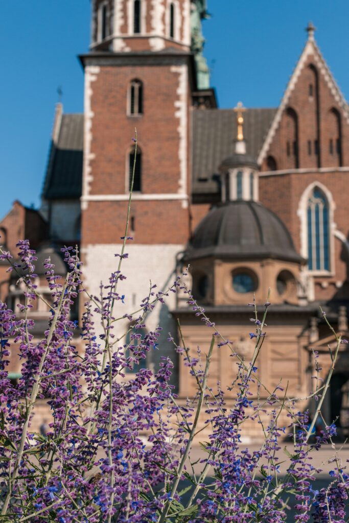 Wygodne Zakupy Biletów Online na Majówkę 2025 - Wawel Kraków 5 wawel bilety, wawel kraków